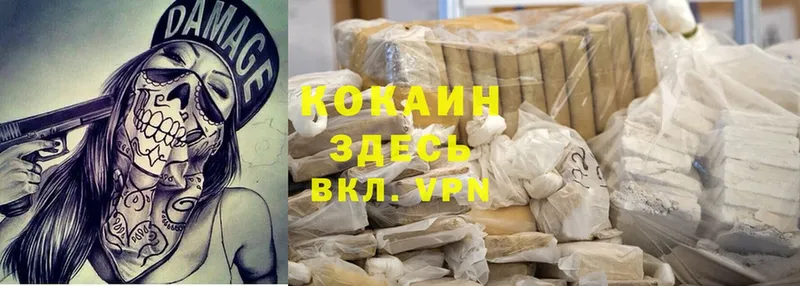 Cocaine Fish Scale  Александров 